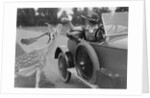 Woman in a BSA car feeding a deer in Richmond Park, Surrey, c1920s by Bill Brunell