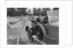 Woman in a BSA car feeding a deer in Richmond Park, Surrey, c1920s by Bill Brunell