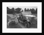 Woman in a BSA car feeding a deer in Richmond Park, Surrey, c1920s by Bill Brunell