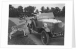 Woman in a BSA car feeding a deer in Richmond Park, Surrey, c1920s by Bill Brunell