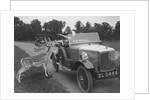 Woman in a BSA car feeding a deer in Richmond Park, Surrey, c1920s by Bill Brunell