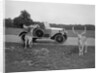 Woman in a BSA car feeding a deer in Richmond Park, Surrey, c1920s by Bill Brunell