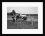Woman in a BSA car feeding a deer in Richmond Park, Surrey, c1920s by Bill Brunell