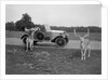 Woman in a BSA car feeding a deer in Richmond Park, Surrey, c1920s by Bill Brunell