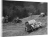 Morris Twelve of PK Potter competing in the MCC Edinburgh Trial, Roxburghshire, Scotland, 1938 by Bill Brunell
