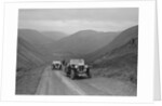 MG Magnette of WS Whittard and MG TA of Maurice Toulmin, MG Car Club Abingdon Trial/Rally, 1939 by Bill Brunell