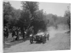 Riley 9 Brooklands of Peter Whitehead, BOC Hill Climb, Chalfont St Peter, Buckinghamshire, 1932 by Bill Brunell