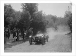 Riley 9 Brooklands of Peter Whitehead, BOC Hill Climb, Chalfont St Peter, Buckinghamshire, 1932 by Bill Brunell