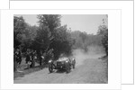 Riley 9 Brooklands of Peter Whitehead, BOC Hill Climb, Chalfont St Peter, Buckinghamshire, 1932 by Bill Brunell