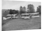 Blackburn Bluebird Mk 4 and De Havilland DH60 Moth at the Oxford Speed Trials, c1930 by Bill Brunell