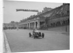 MG leaving the starting line in the Brighton Speed Trials, 1938 by Bill Brunell