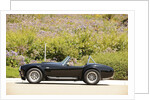 AC Cobra 427 1966 by Simon Clay
