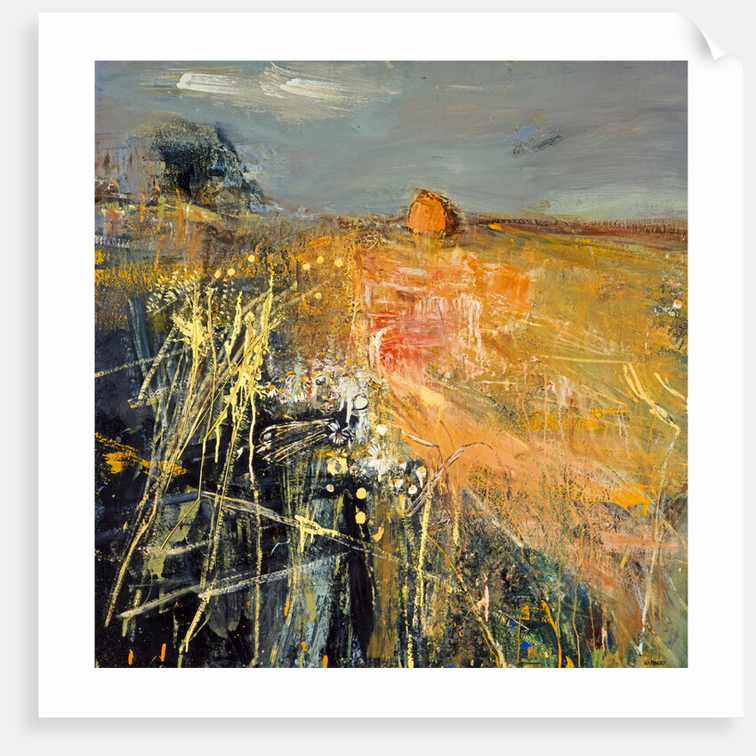 Summer Fields posters & prints by Joan Eardley