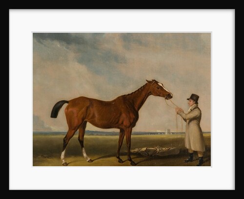 Rhoda', A Bay Racehorse by William Tasker