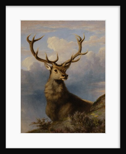 The Monarch of the Glen 1861 by James William Giles