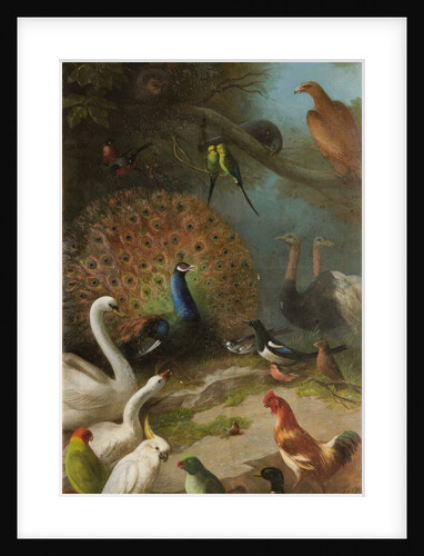 The Parliament of Birds by John Bucknell Russell