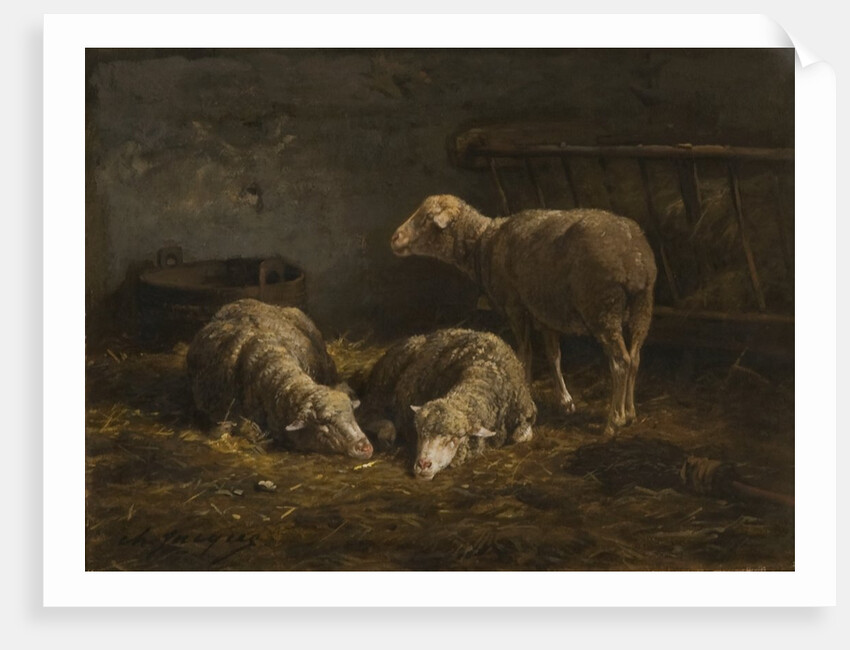 Three Sheep in a Barn by Charles Emile Jacques