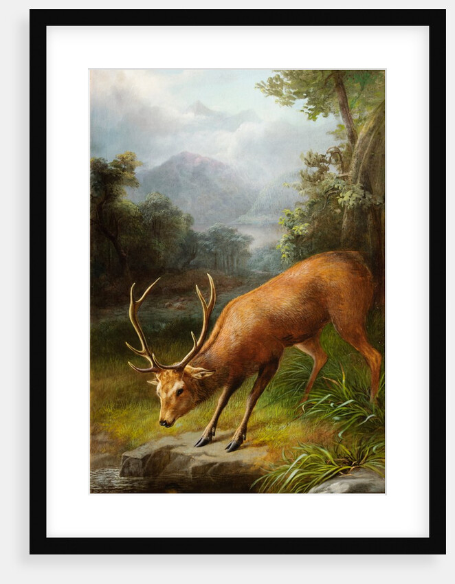 The Stag Looking into the Water by John Bucknell Russell