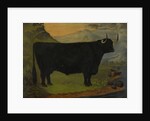 A Black Highland Bull in a Highland Landscape 1880 by E. Mitchell