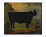 A Black Highland Bull in a Highland Landscape 1880 by E. Mitchell