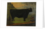 A Black Highland Bull in a Highland Landscape 1880 by E. Mitchell