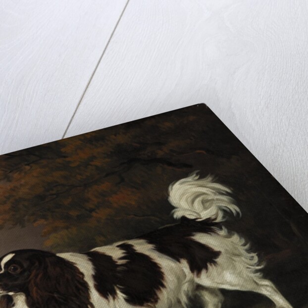 Study of a King Charles Spaniel by Henry Bernard Chalon