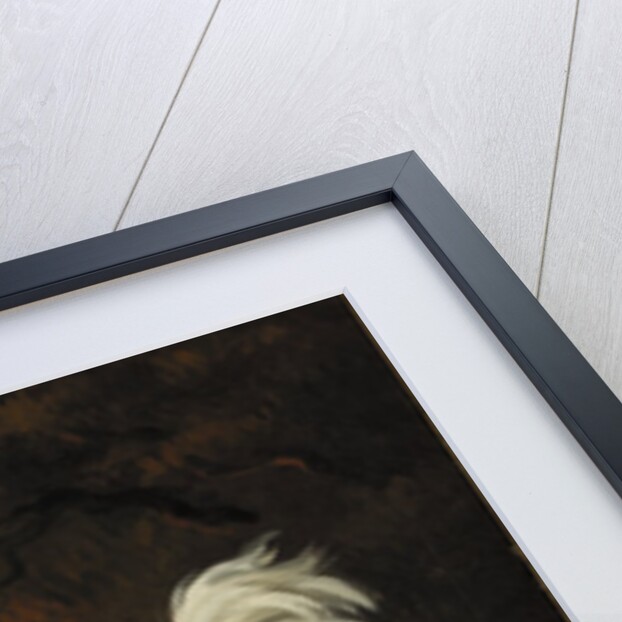 Study of a King Charles Spaniel by Henry Bernard Chalon