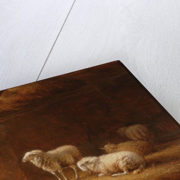 Sheep in Byre by Eugéne Joseph Verboeckhoven