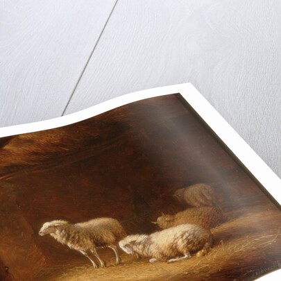 Sheep in Byre by Eugéne Joseph Verboeckhoven