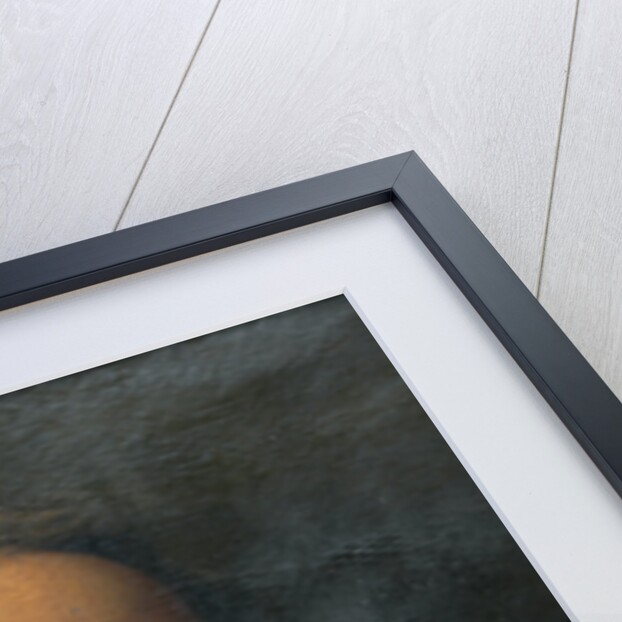 Portrait of the Artist's Father by Thomas Eyre Macklin