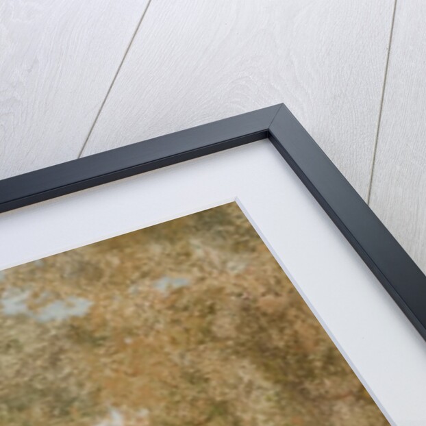 Cottage and Stream by John Falconar Slater