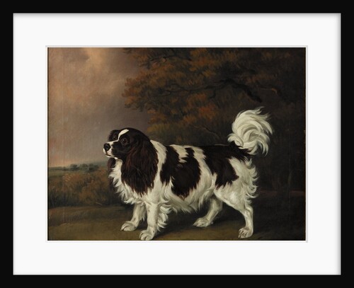 Study of a King Charles Spaniel by Henry Bernard Chalon