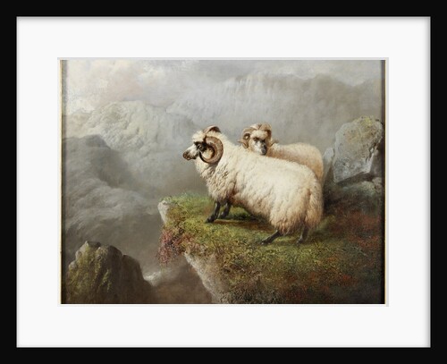 Sheep on a Cliff Edge by George Hepper