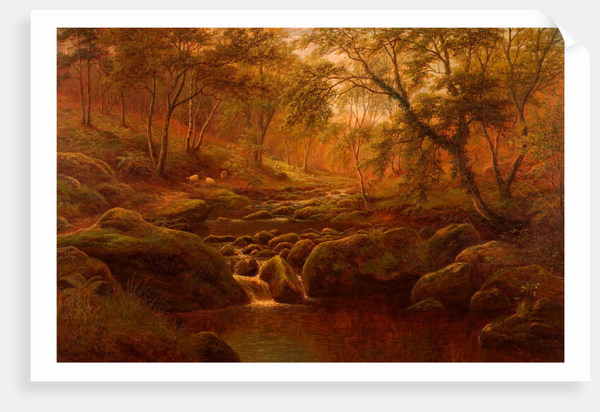 Oak Beck, Harrogate by William Mellor