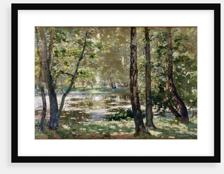 Sunlight, Burnham Beeches by Tom Mostyn