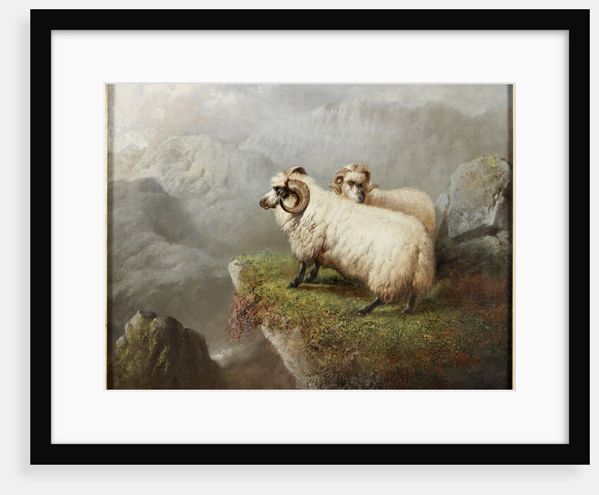 Sheep on a Cliff Edge by George Hepper