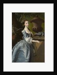 Portrait of Miss Jane Monck by Joseph Wright