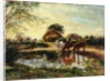The Farm Pond by William Mark Fisher