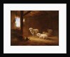 Sheep in Byre by Eugéne Joseph Verboeckhoven