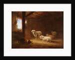 Sheep in Byre by Eugéne Joseph Verboeckhoven