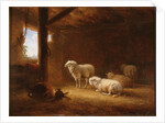 Sheep in Byre by Eugéne Joseph Verboeckhoven