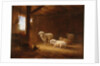 Sheep in Byre by Eugéne Joseph Verboeckhoven