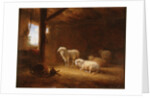 Sheep in Byre by Eugéne Joseph Verboeckhoven