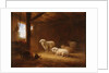 Sheep in Byre by Eugéne Joseph Verboeckhoven