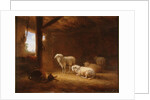 Sheep in Byre by Eugéne Joseph Verboeckhoven