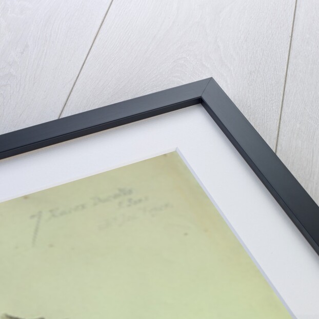 Sea Shell by George Gibsone