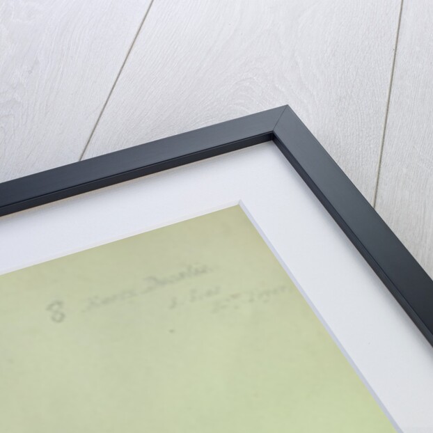 Sea Shell by George Gibsone