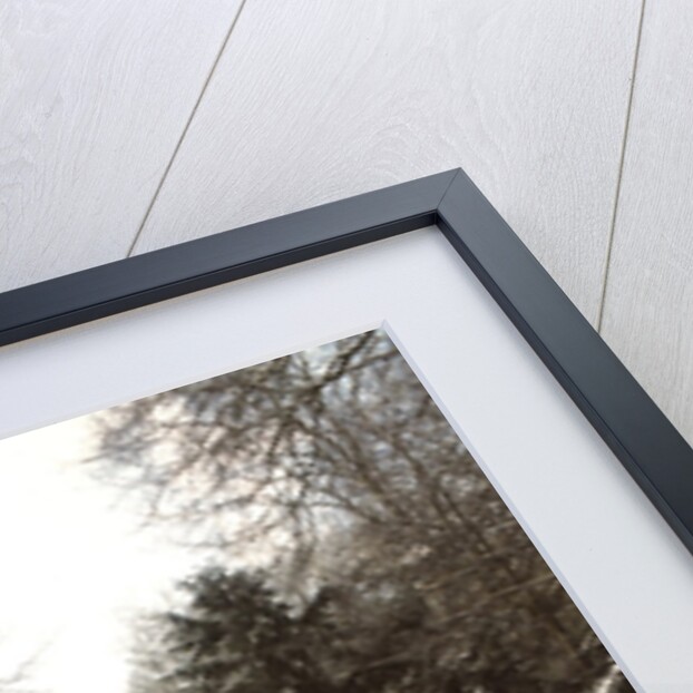 Jesmond Dene in Snow by Unknown