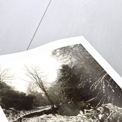 Jesmond Dene in Snow by Unknown