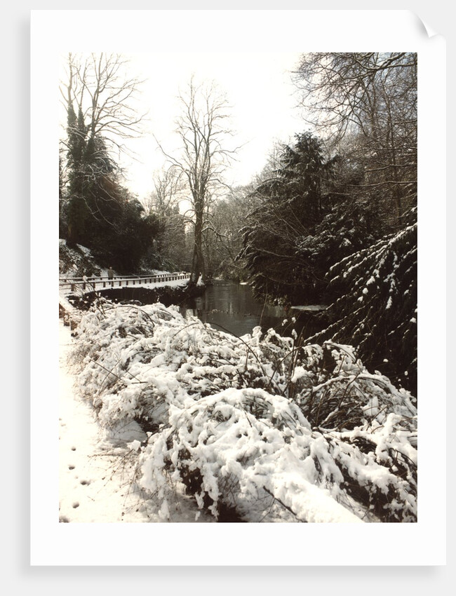 Jesmond Dene in Snow by Unknown